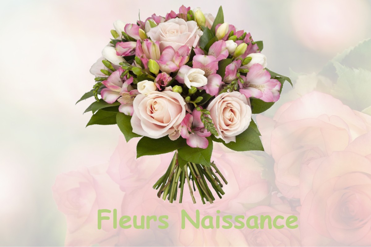 fleurs naissance CASTAGNIERS