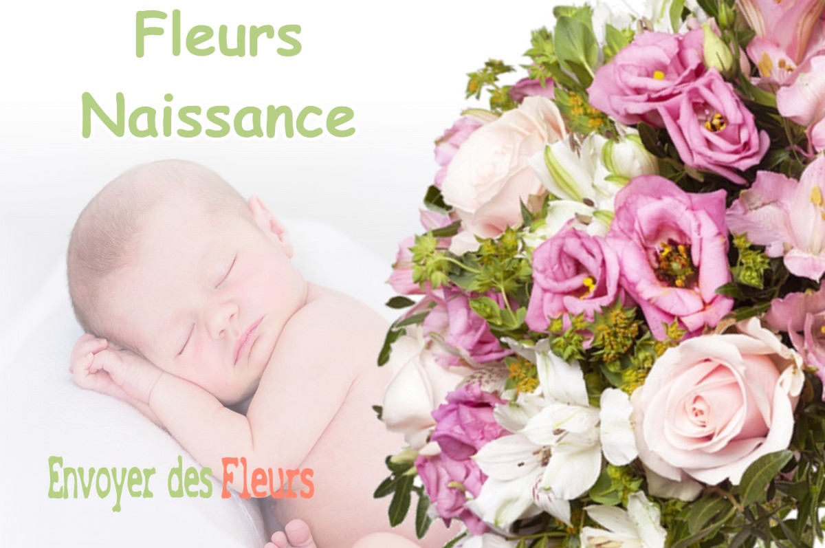 lIVRAISON FLEURS NAISSANCE à CASTAGNIERS